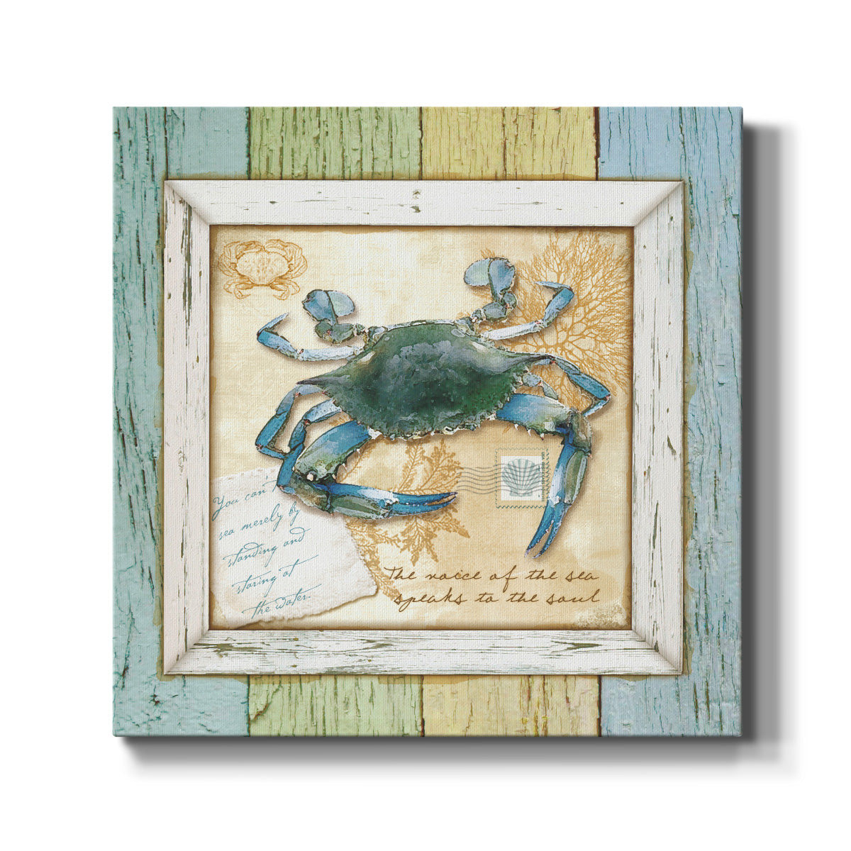 Sea Treasures VII - Canvas Art Print