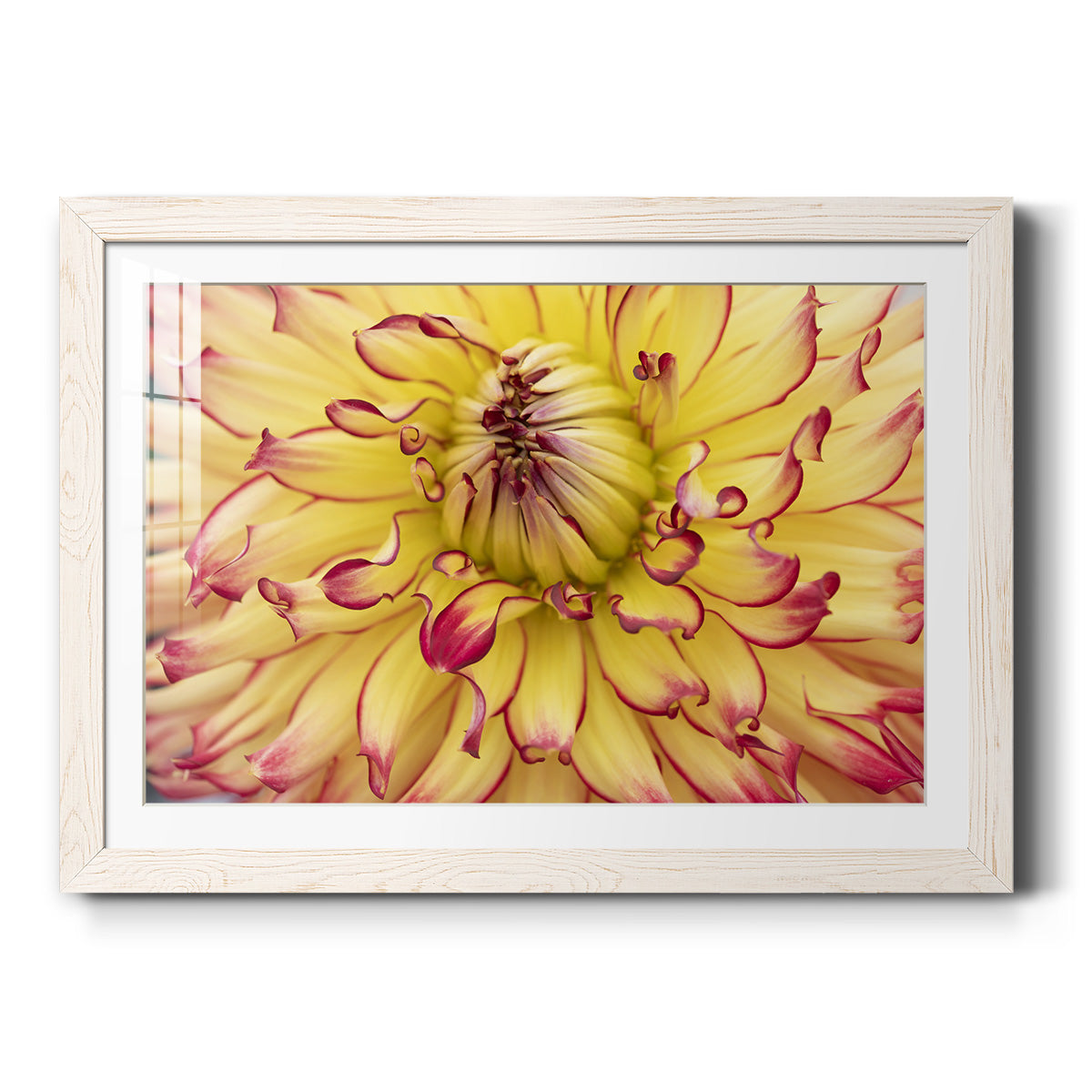 Celebrate-Premium Framed Print - Ready to Hang