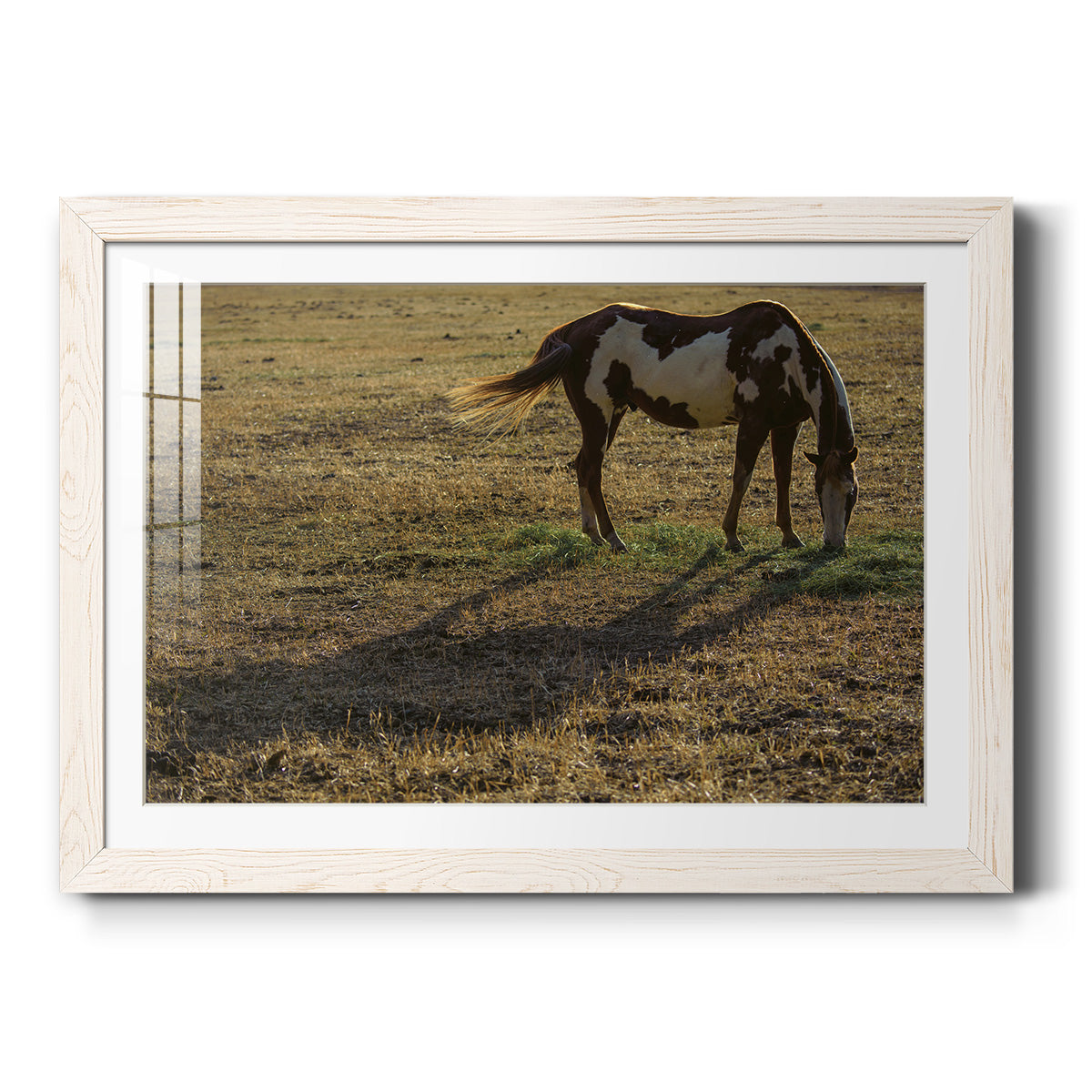 Celebrate-Premium Framed Print - Ready to Hang