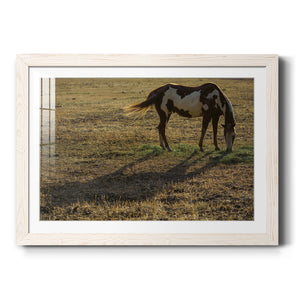 Long Shadow-Premium Framed Print - Ready to Hang