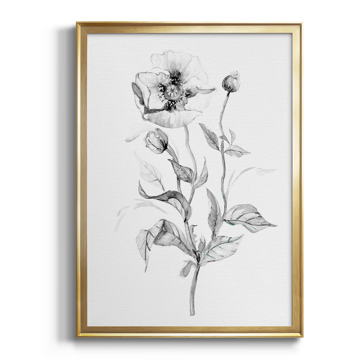 Sepia Botanical Journal I - Modern Framed Canvas Print
