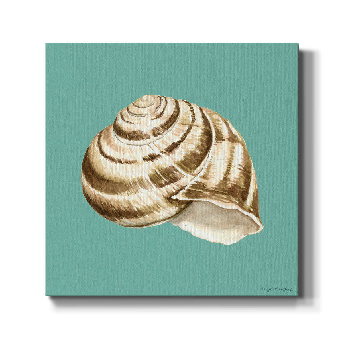 Shell on Aqua I - Canvas Art Print