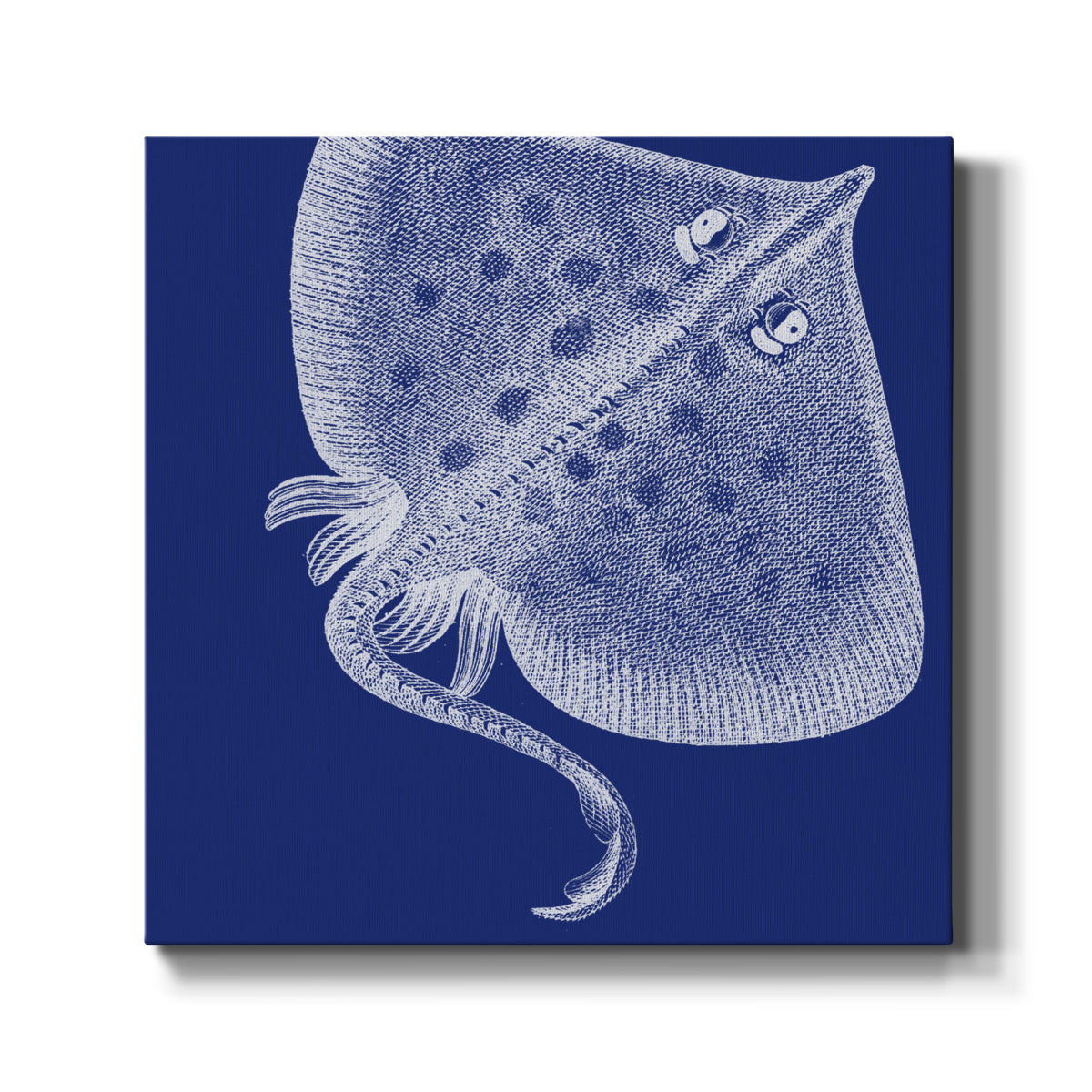 Saturated Sea Life III - Canvas Art Print