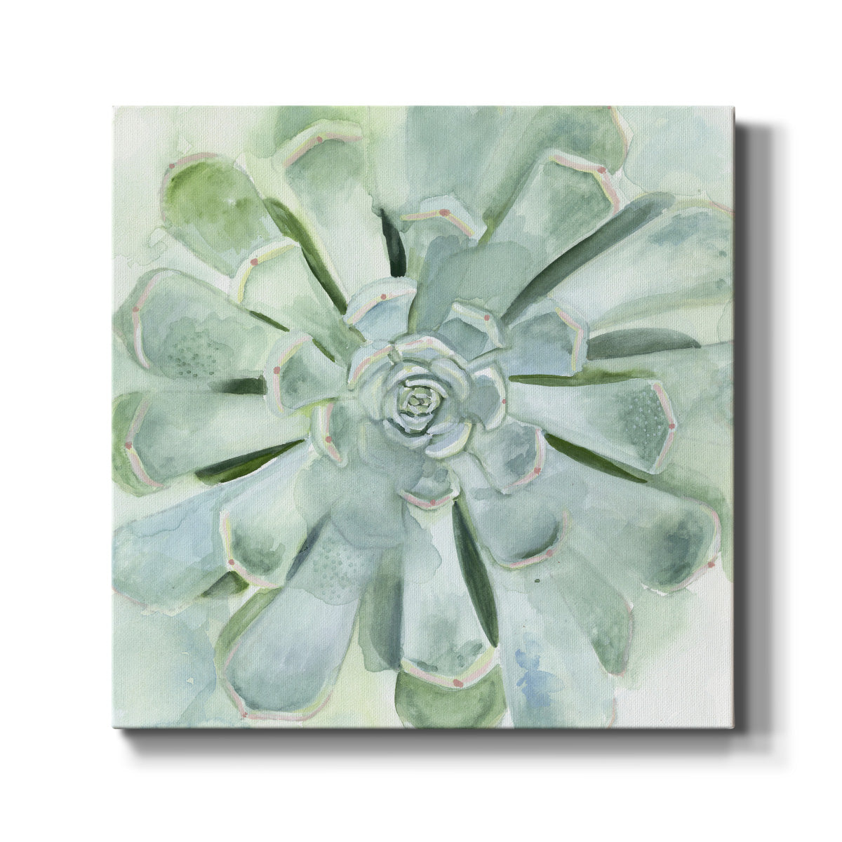 Verdant Succulent IV - Canvas Art Print