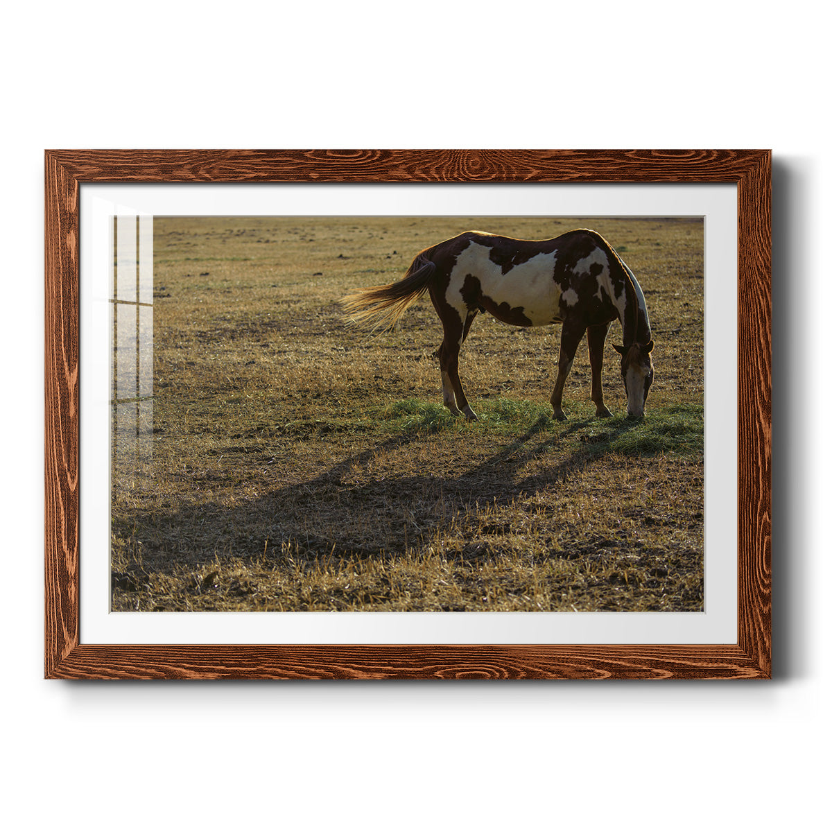 Long Shadow-Premium Framed Print - Ready to Hang