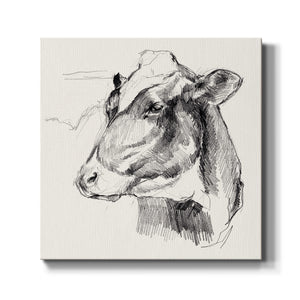 Holstein Portrait Sketch II-Premium Gallery Wrapped Canvas - Ready to Hang