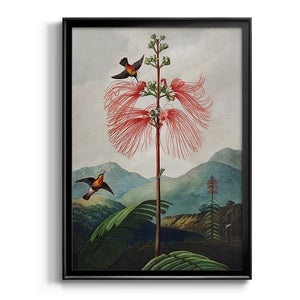 Temple of Flora VIII Premium Framed Print - Ready to Hang