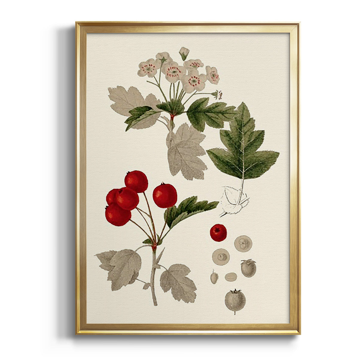 Sepia Botanical Journal I - Modern Framed Canvas Print