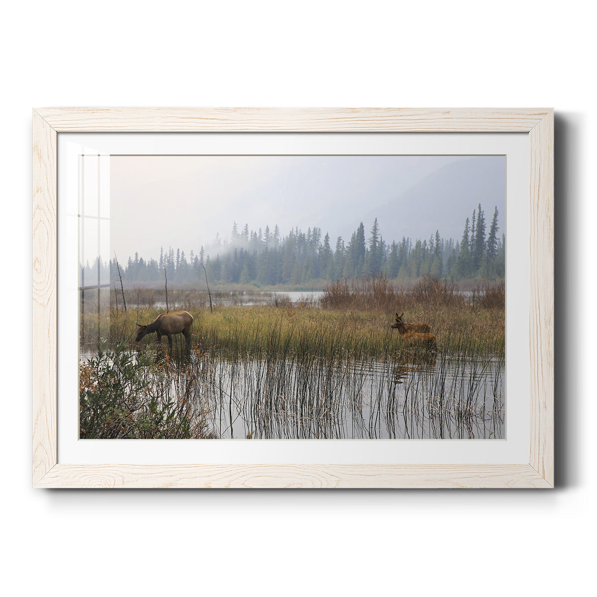 Celebrate-Premium Framed Print - Ready to Hang