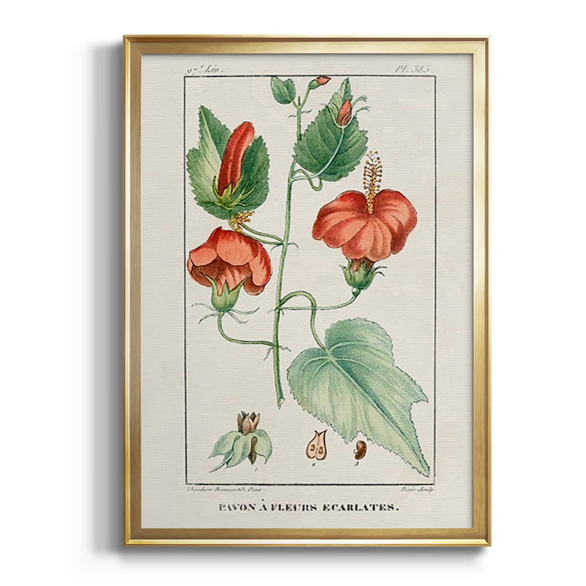 Sepia Botanical Journal I - Modern Framed Canvas Print