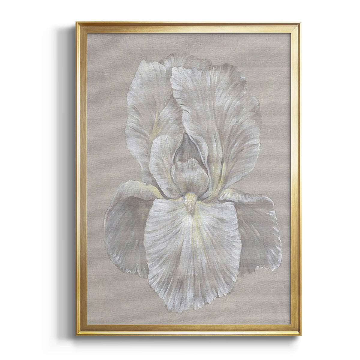 White Iris I Premium Framed Print - Ready to Hang