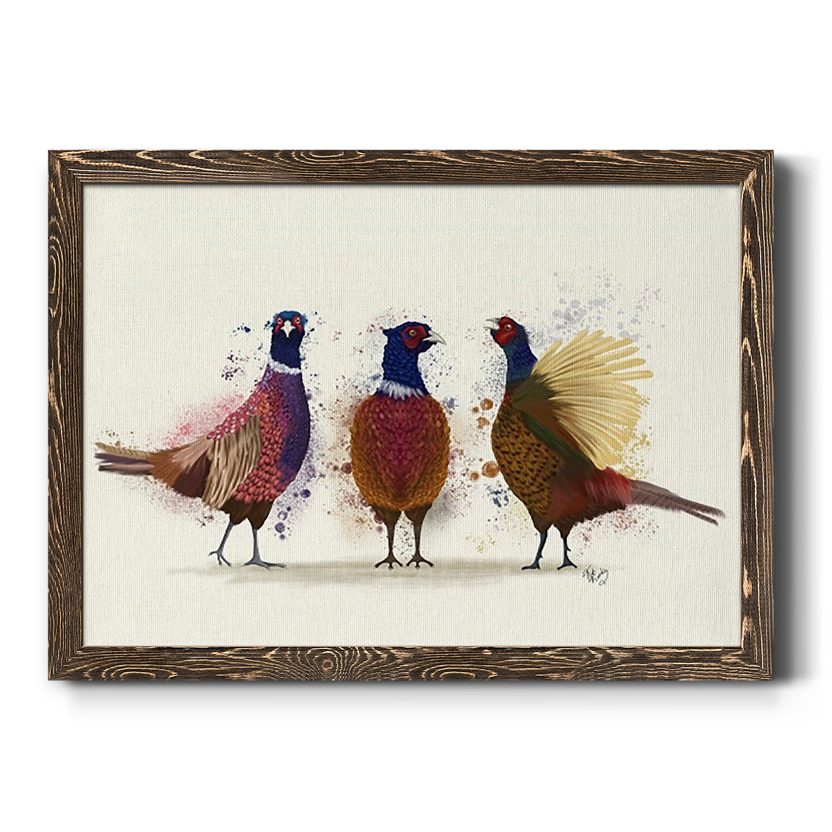 Pheasant Trio-Premium Framed Canvas - Ready to Hang