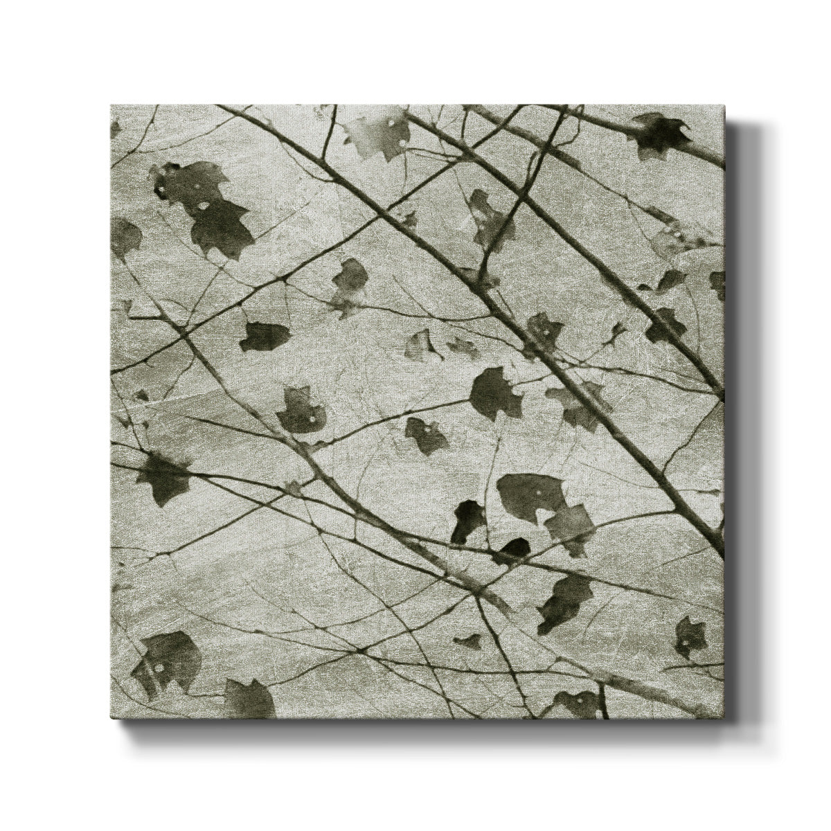Laced Sky II - Canvas Art Print