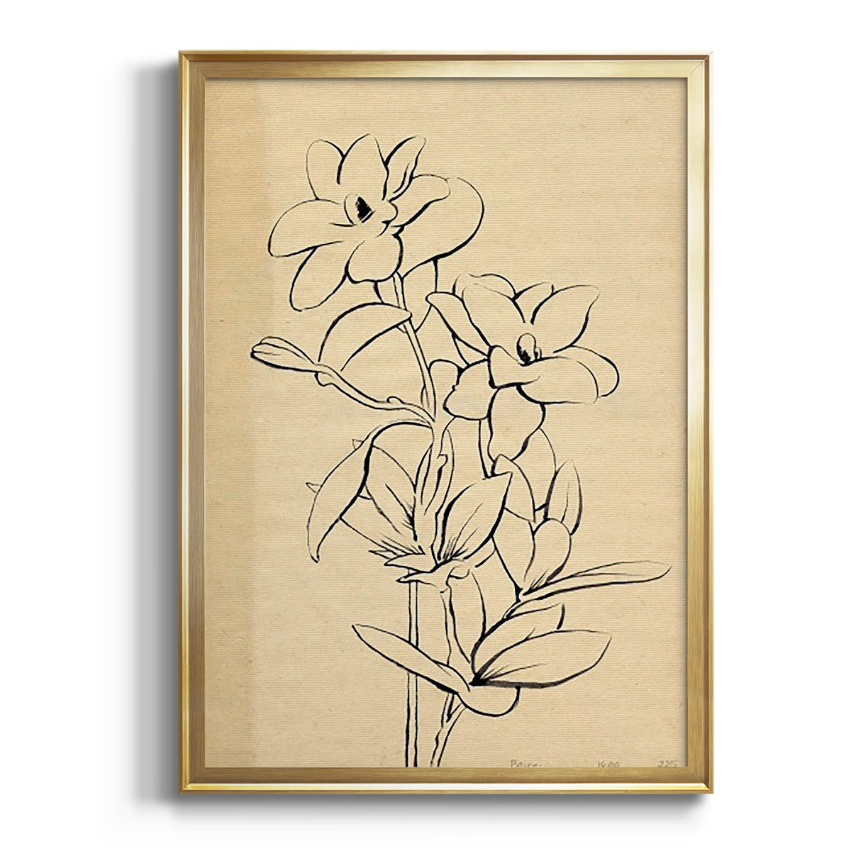 Sepia Botanical Journal I - Modern Framed Canvas Print