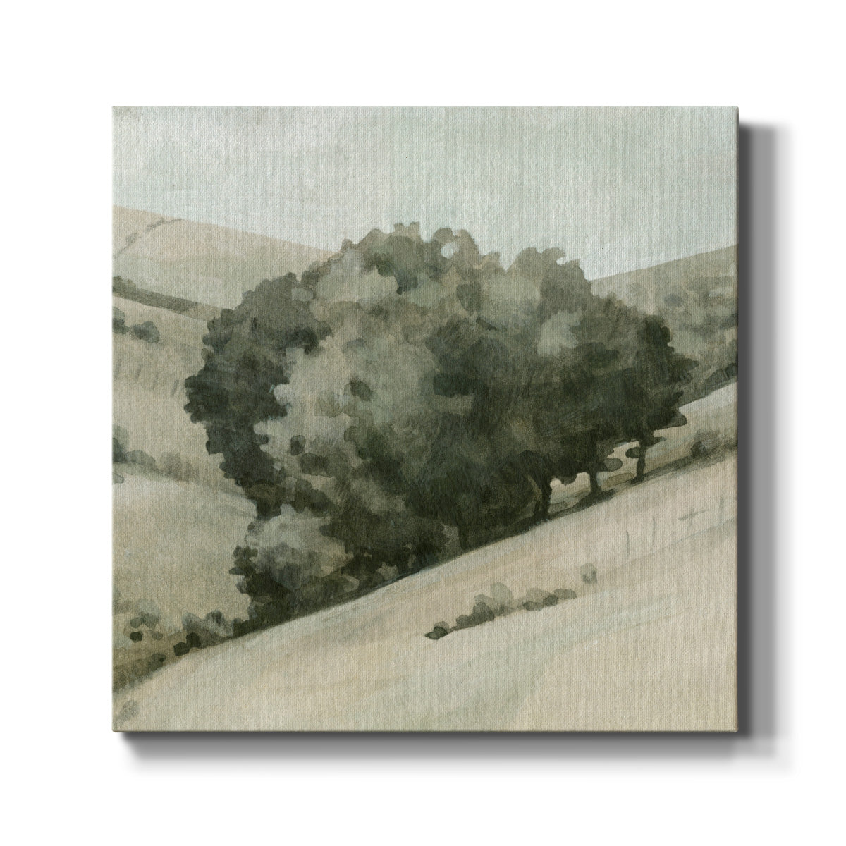 Rolling Grove II - Canvas Art Print