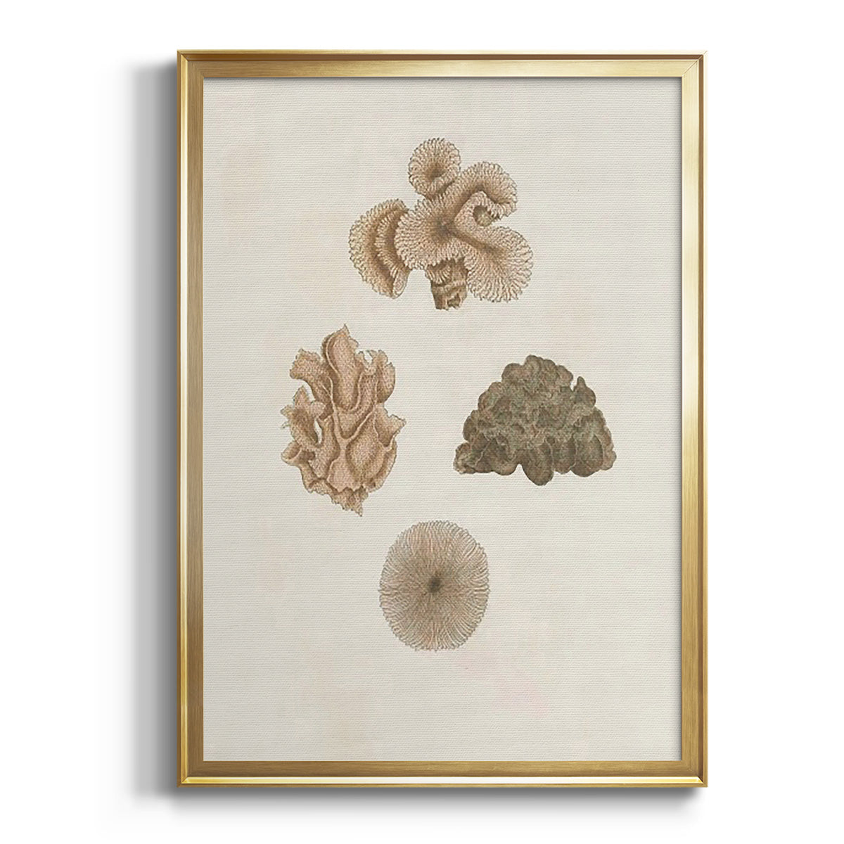 Sepia Botanical Journal I - Modern Framed Canvas Print