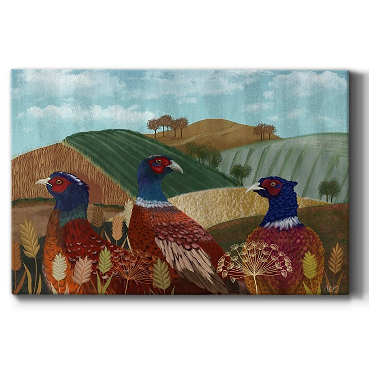 Pheasant Trio in Field Premium Gallery Wrapped Canvas - Ready to Hang
