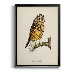 French Owls II Premium Framed Print - Ready to Hang