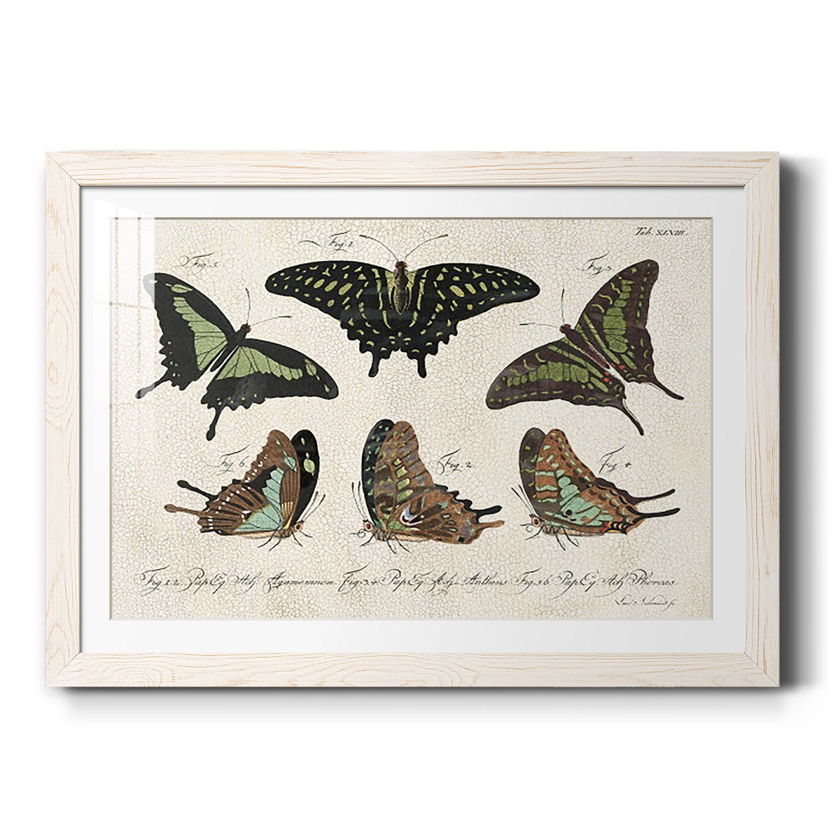 Celebrate-Premium Framed Print - Ready to Hang