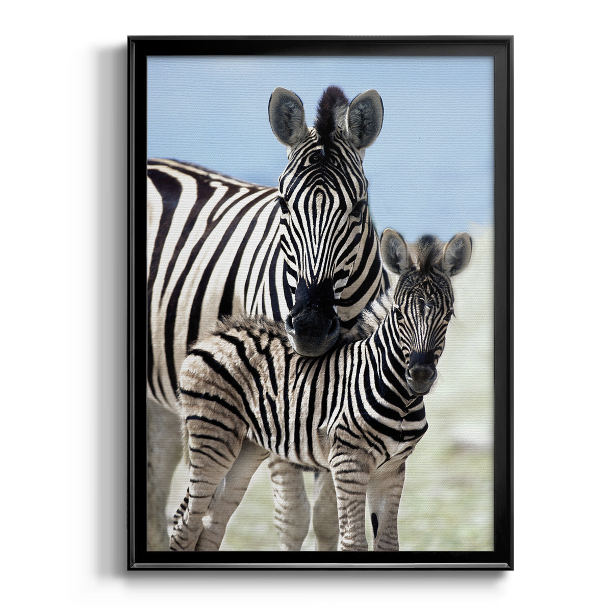 Family of Namibia Premium Framed Print - Ready to Hang