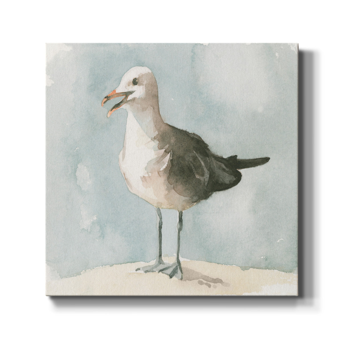 Simple Seagull II - Canvas Art Print
