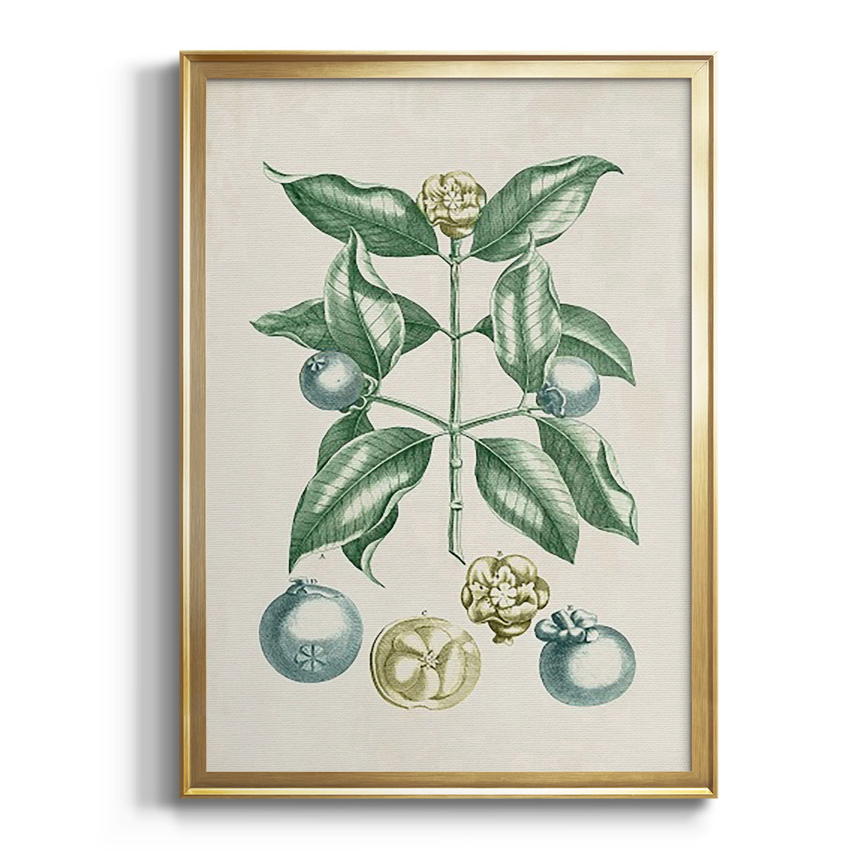 Sepia Botanical Journal I - Modern Framed Canvas Print