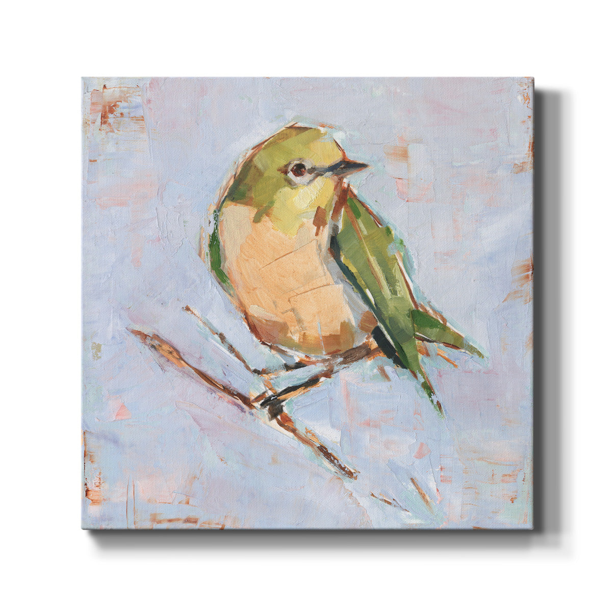Bird Variety II-Premium Gallery Wrapped Canvas - Ready to Hang