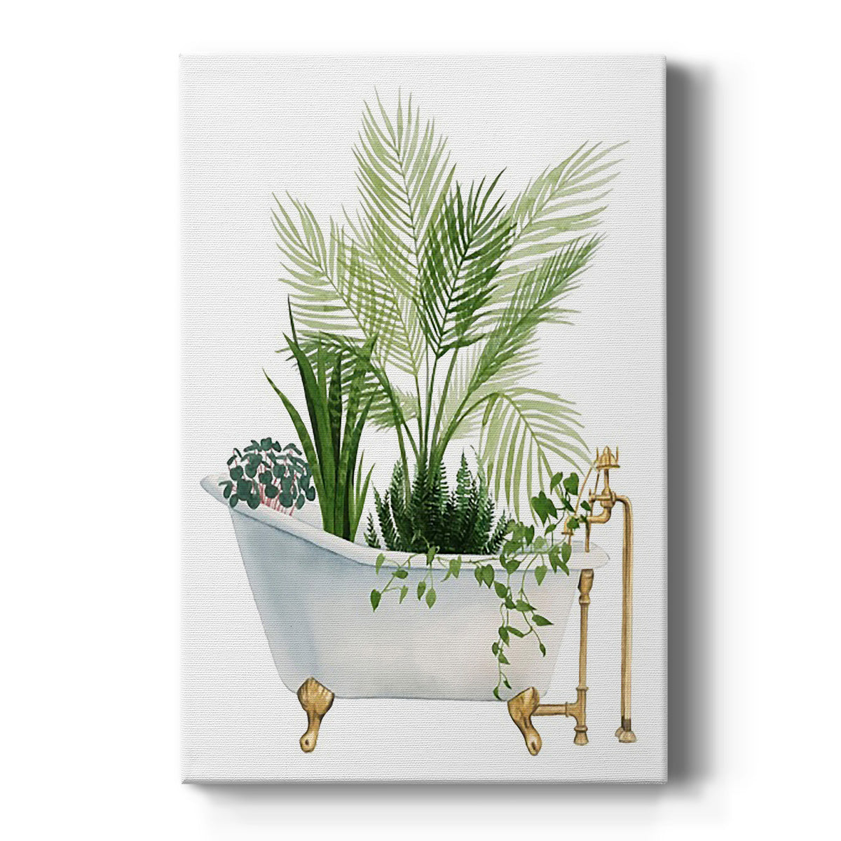 Plant Bath I Premium Gallery Wrapped Canvas - Ready to Hang