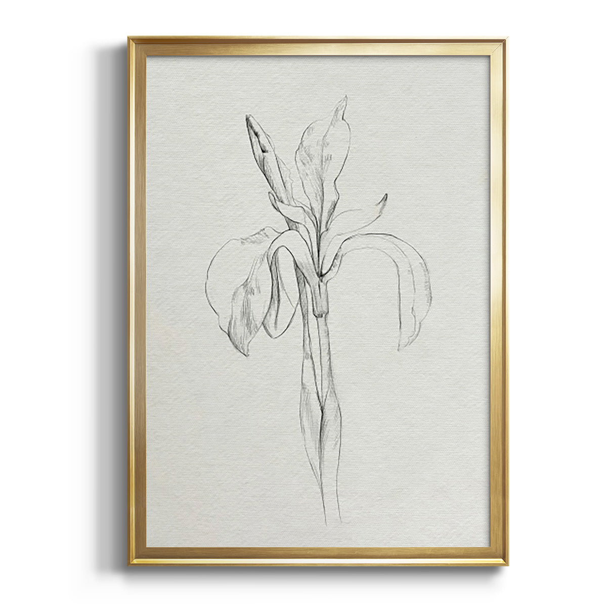 Sepia Botanical Journal I - Modern Framed Canvas Print