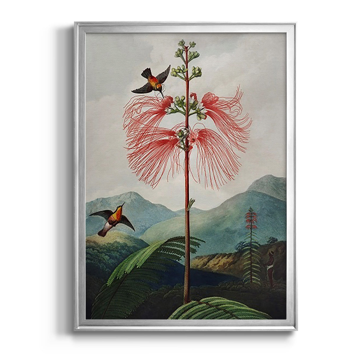 Temple of Flora VIII Premium Framed Print - Ready to Hang