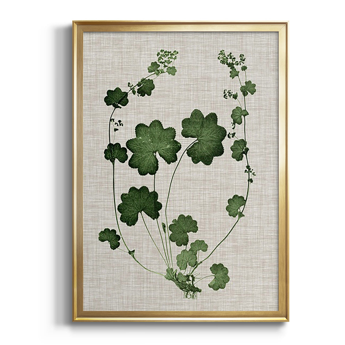 Sepia Botanical Journal I - Modern Framed Canvas Print