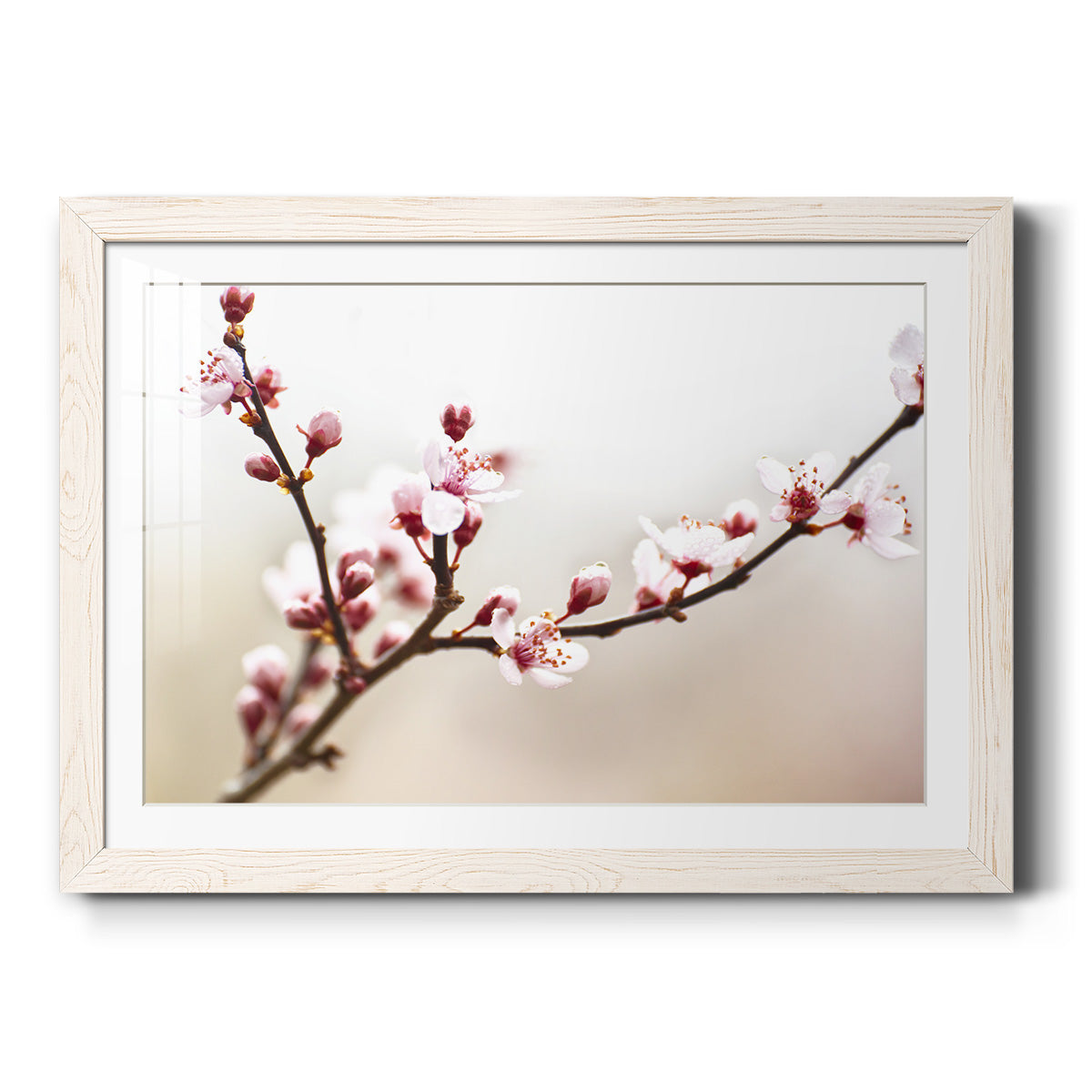 Celebrate-Premium Framed Print - Ready to Hang