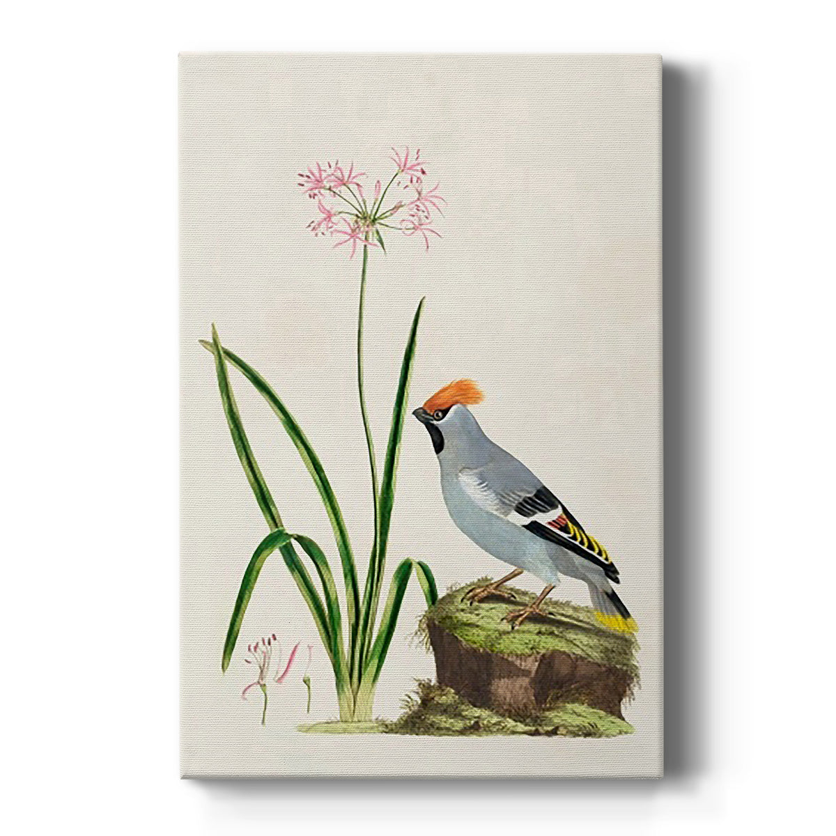 Bird in Habitat II - Canvas Art Print