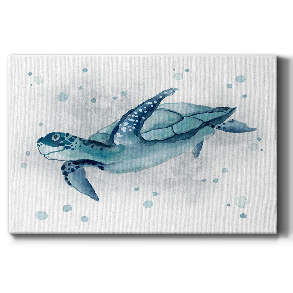 Blue Turtle II - Canvas Art Print