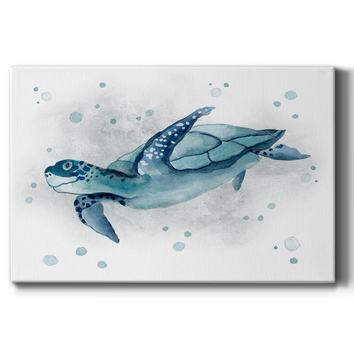 Blue Turtle II Premium Gallery Wrapped Canvas - Ready to Hang