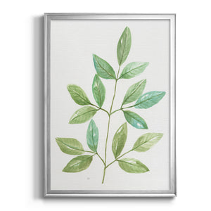 Spring Greens III Premium Framed Print - Ready to Hang