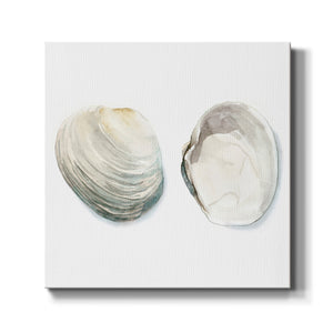 Watercolor Shells II-Premium Gallery Wrapped Canvas - Ready to Hang