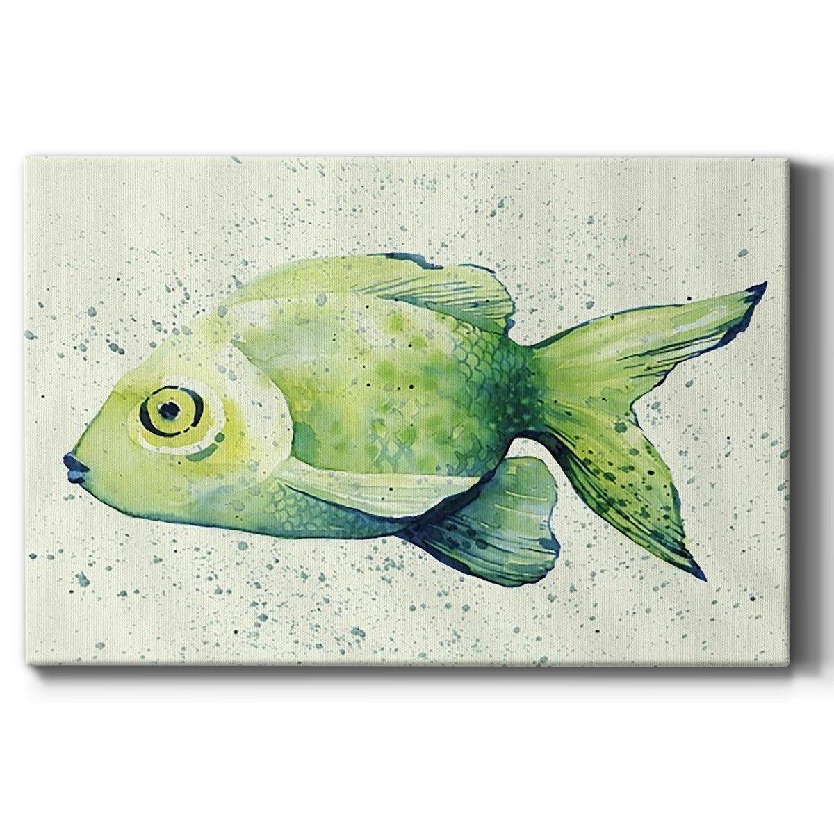 Speckled Freshwater Fish I Premium Gallery Wrapped Canvas - Ready to Hang