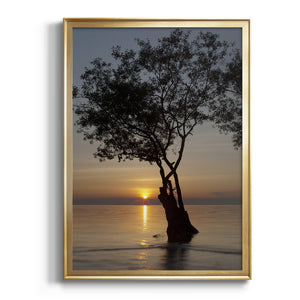 Sunset Silhouette Premium Framed Print - Ready to Hang