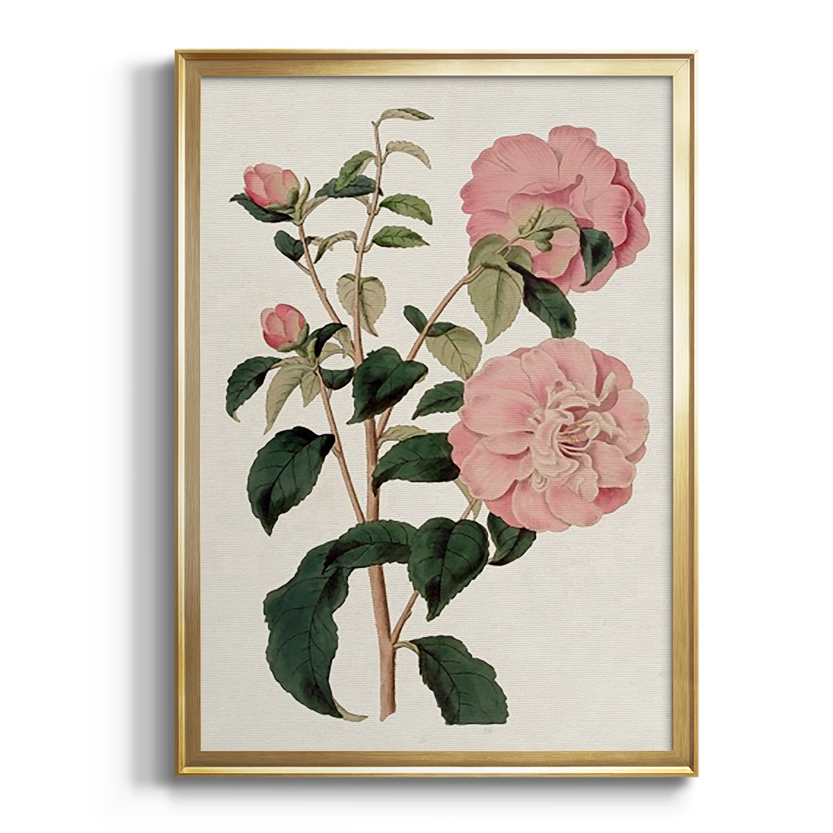 Pink Floral Mix IV Premium Framed Print - Ready to Hang