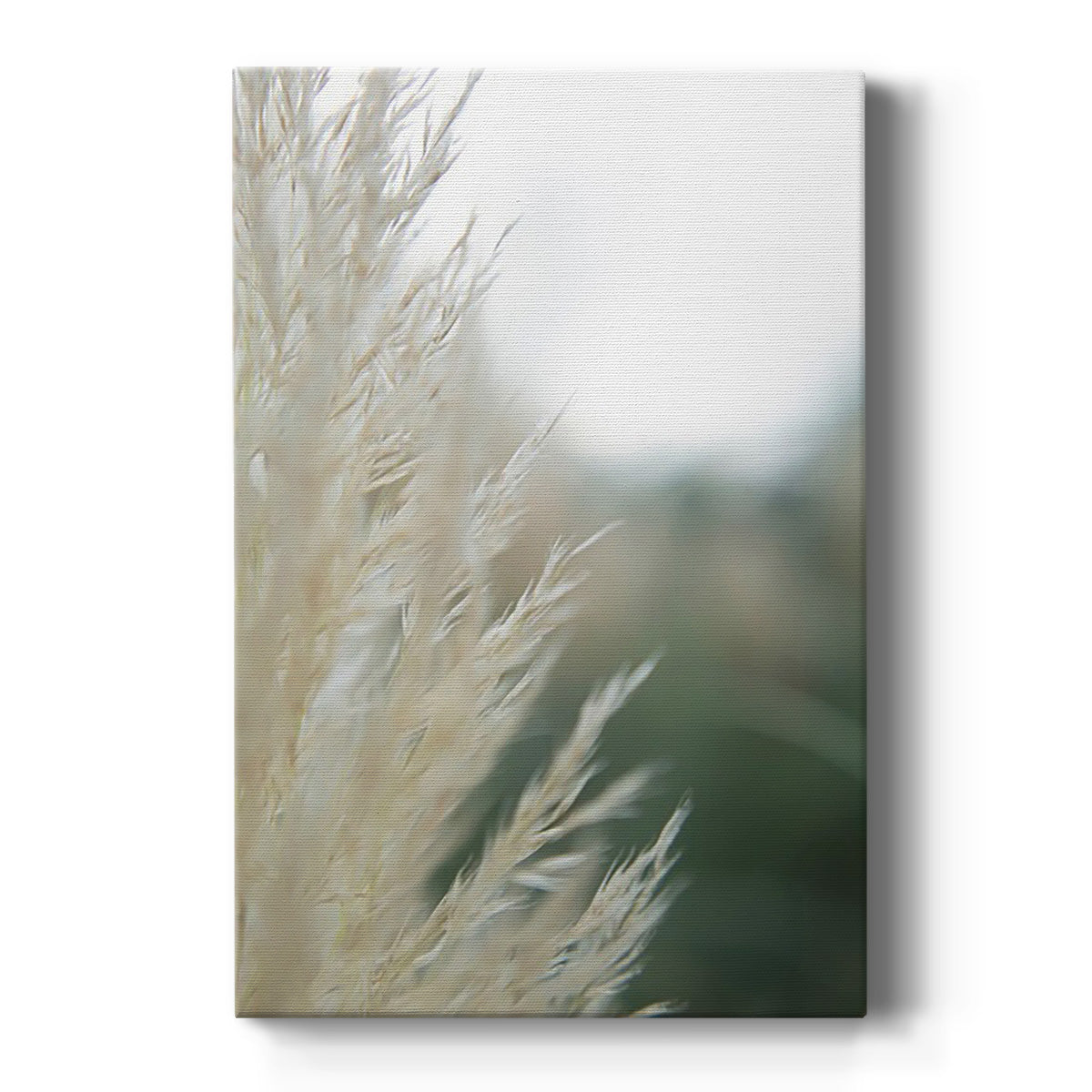 Subtle Grasses I - Canvas Art Print