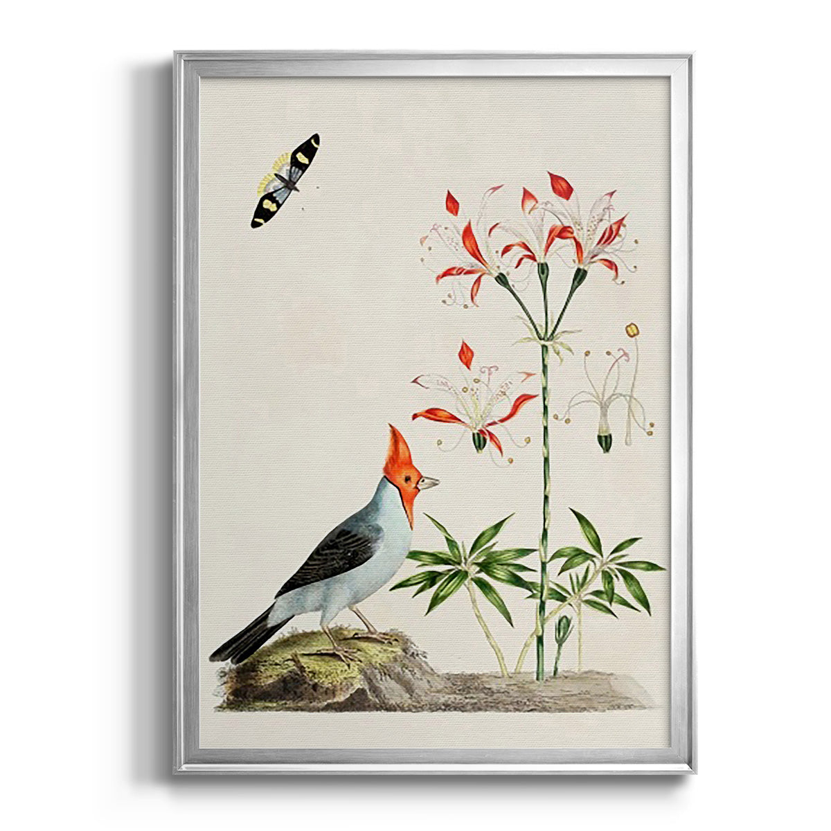 Bird in Habitat I Premium Framed Print - Ready to Hang