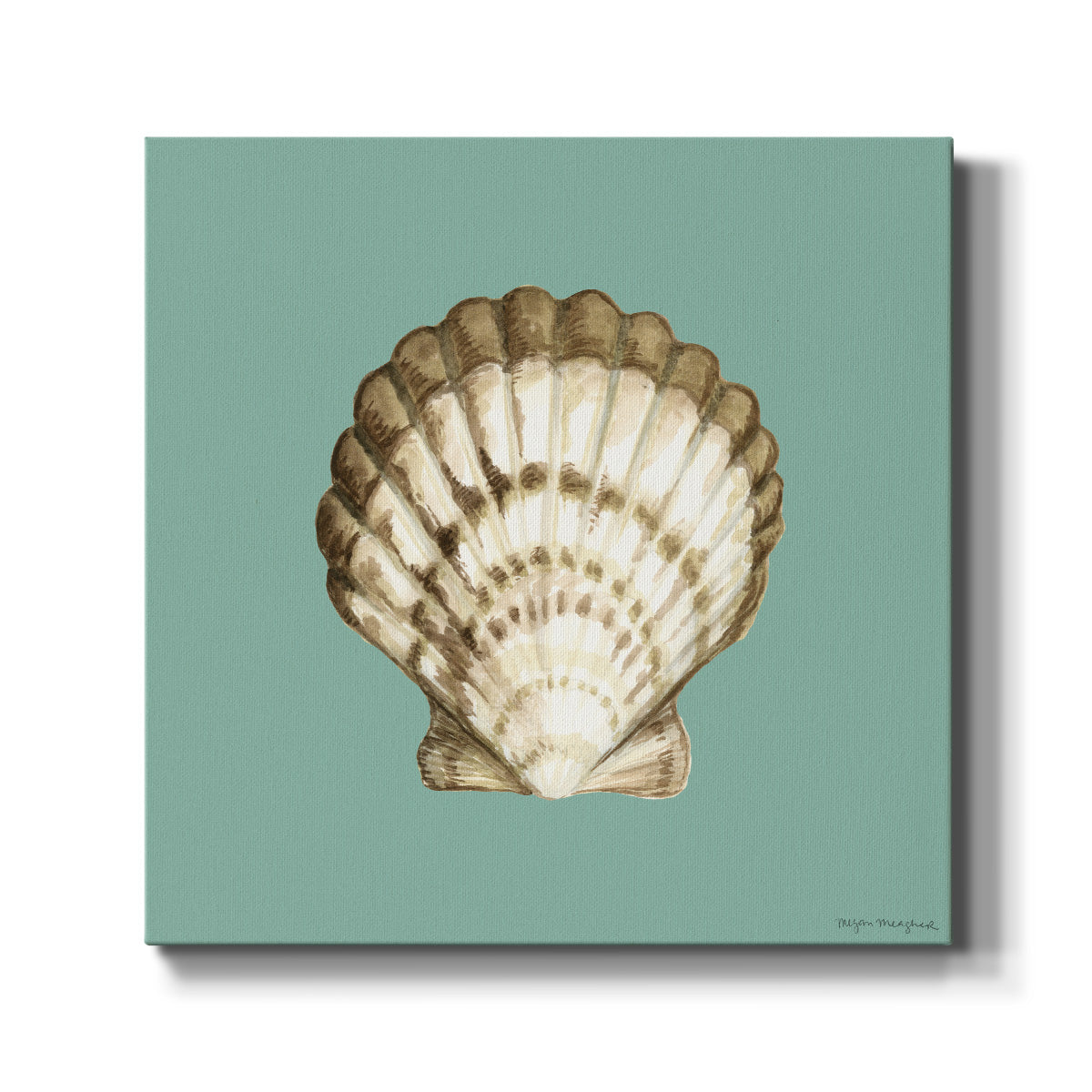 Shell on Aqua III - Canvas Art Print