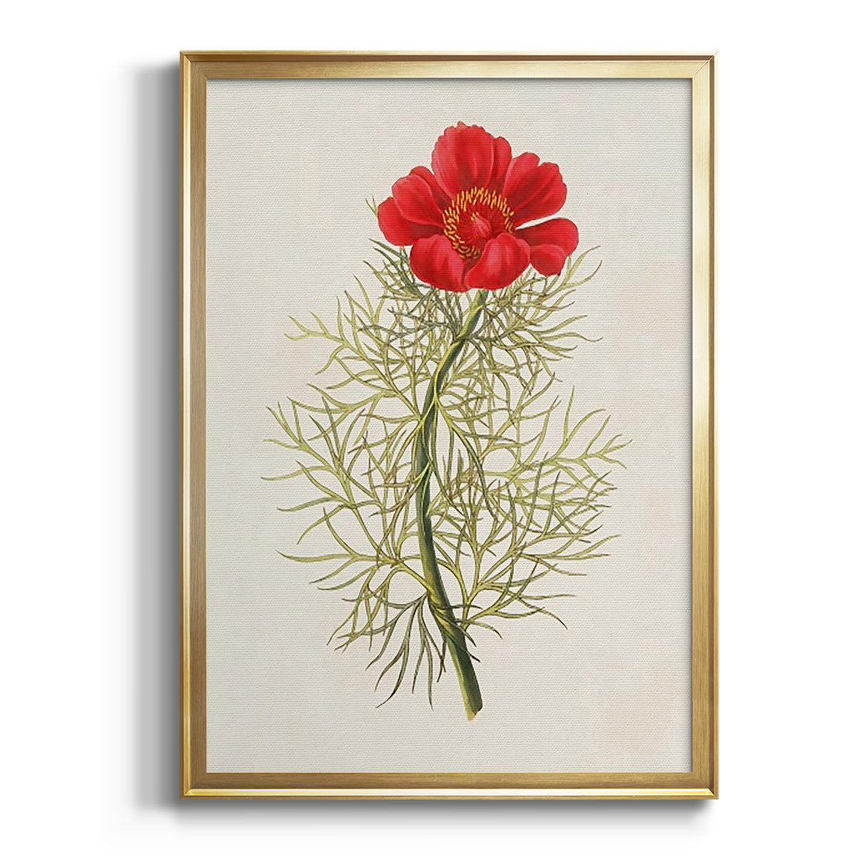 Sepia Botanical Journal I - Modern Framed Canvas Print