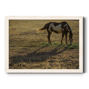 Long Shadow-Premium Framed Canvas - Ready to Hang