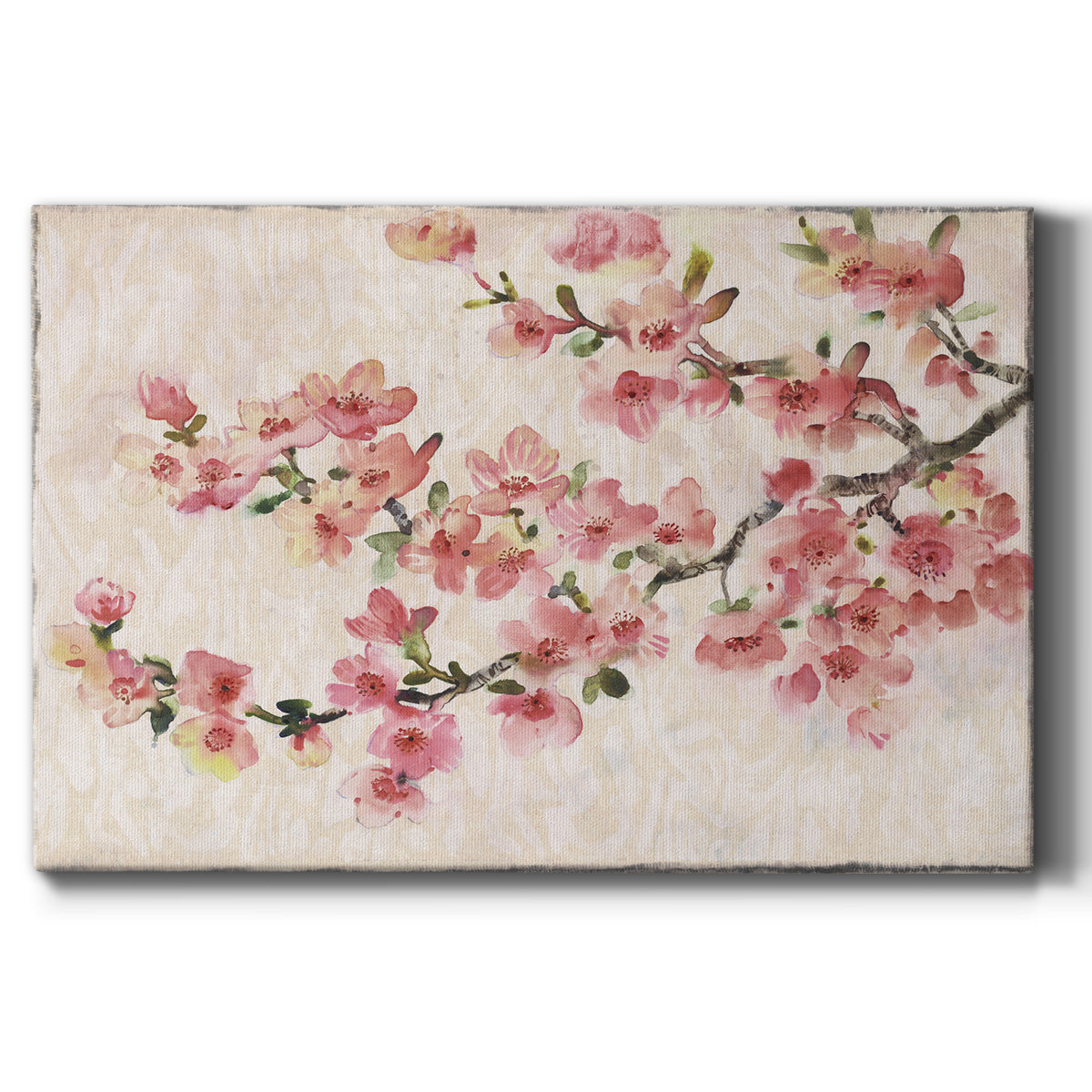 Cherry Blossom Composition I Premium Gallery Wrapped Canvas - Ready to Hang