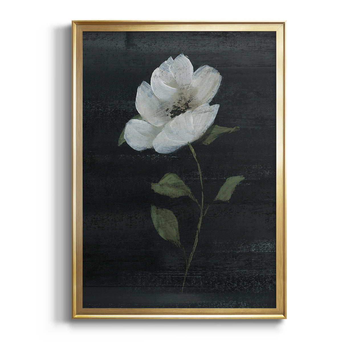 Soft Half Shell I - Modern Framed Canvas Print