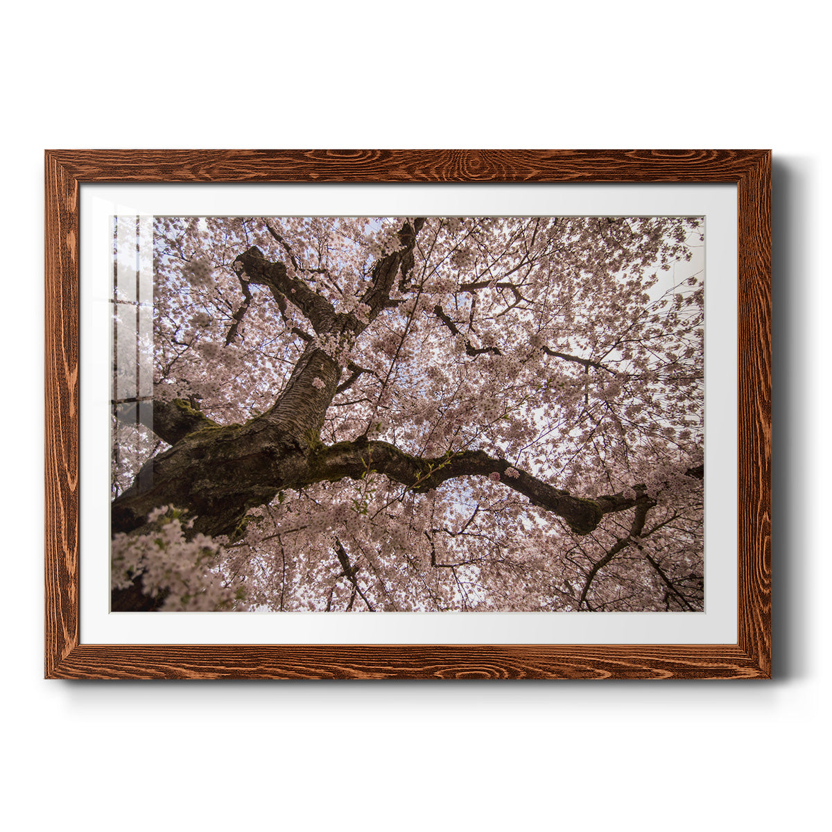 Spring's Arrival-Premium Framed Print - Ready to Hang