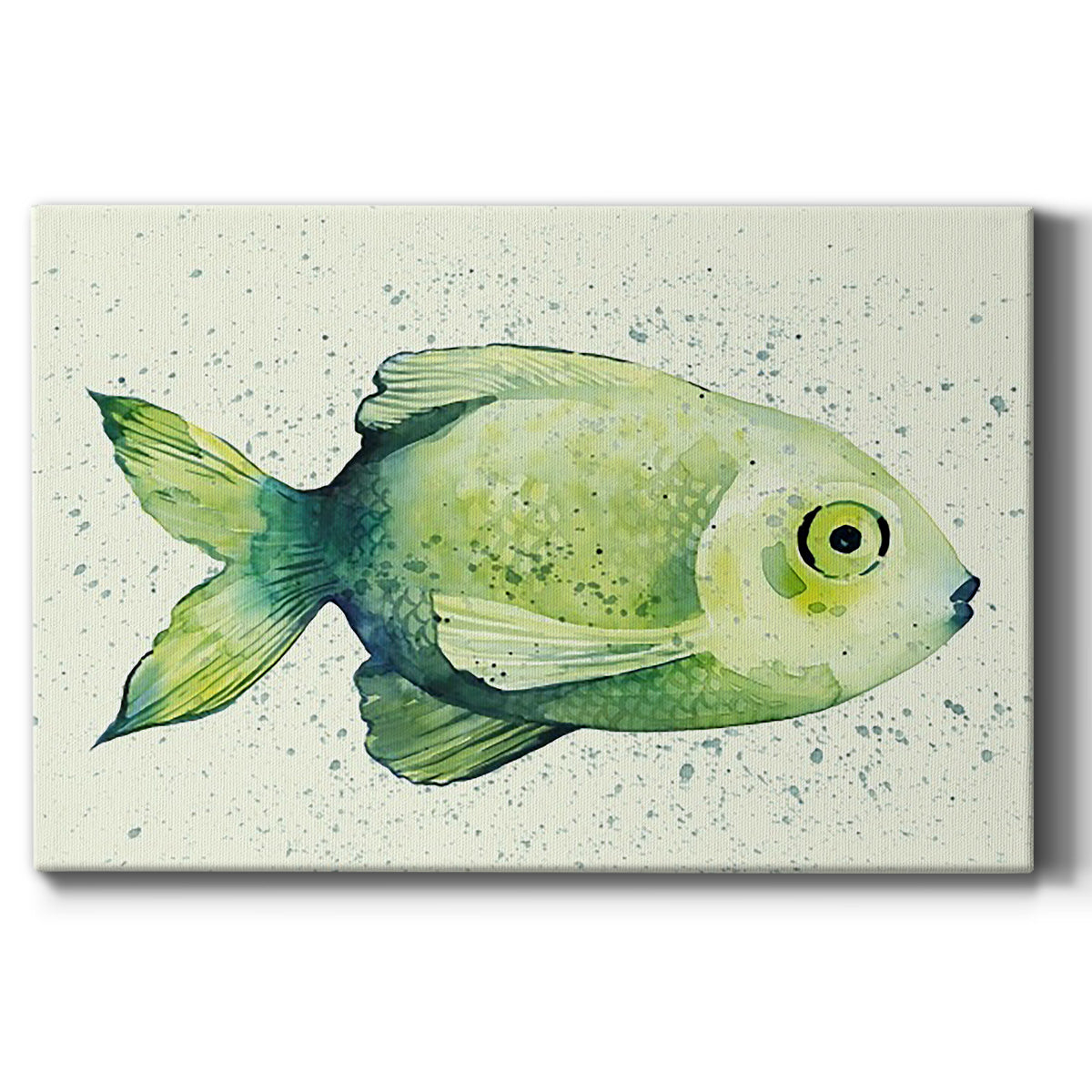 Speckled Freshwater Fish II - Canvas Art Print