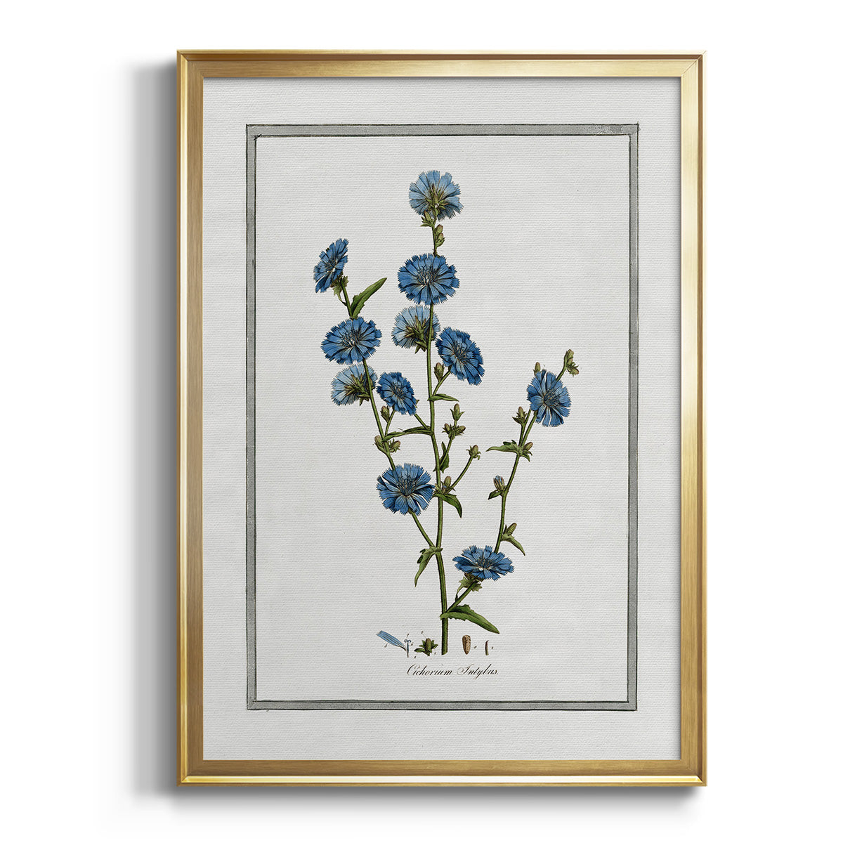 Sepia Botanical Journal I - Modern Framed Canvas Print